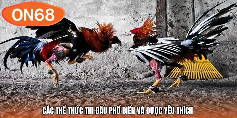 Các thể thức thi đấu phổ biến và được yêu thích 