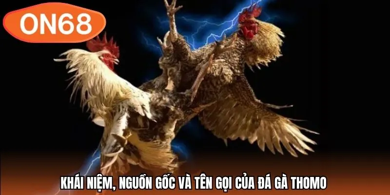 Khái niệm, nguồn gốc và tên gọi của đá gà Thomo 